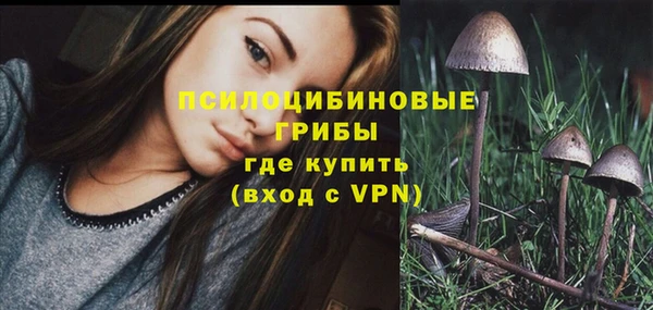 spice Каменка
