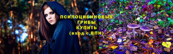 прущая мука Иннополис