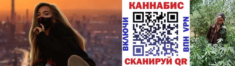 Купить  Володарск  Каннабис ГИДРОПОН 